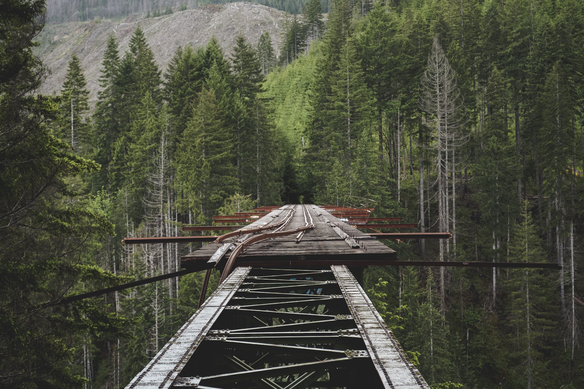ruben-mishchuk-409401-unsplash